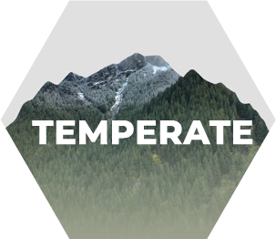 temperate